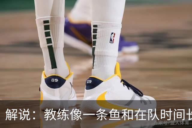 解说：教练像一条鱼&在队时间长了就会发臭 杜锋话语出现效应递减