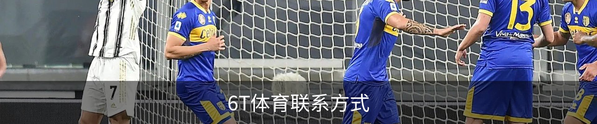 6T体育联系方式